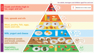 Food_pyramid_transp_landscape_640